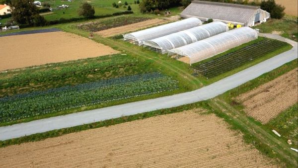 Plan des parcelles cultivées